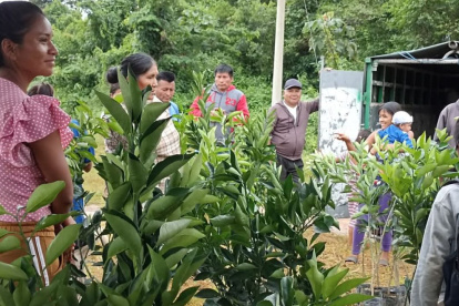 ONG. La Fundación Atasim trabaja por las comunidades más vulnerables de la Amazonía.