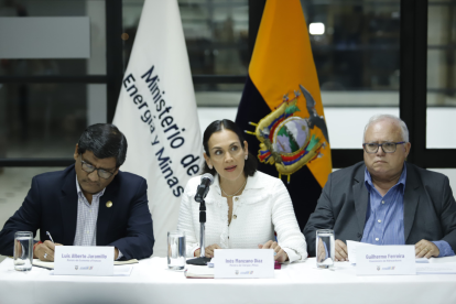 Ministra de Energía Inés Manzano.