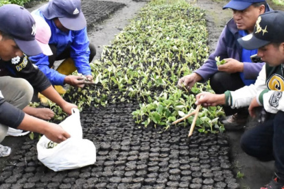 ONG. La Fundación Heifer en Ecuador impulsa la sostenibilidad en el campos en distintas provincias.