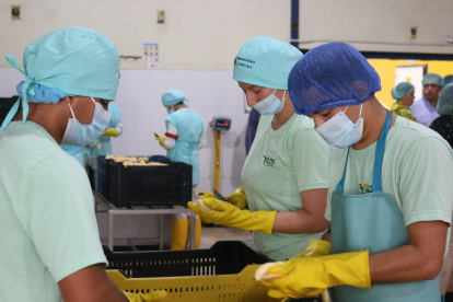 El reglamento establece el tamaño de las diferentes empresas en el país.