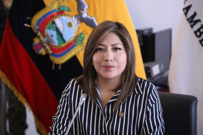 La legisladora Inés Alarcón (ADN) preside la Comisión de Seguridad de la Asamblea.