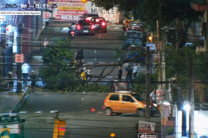 El árbol impide el tránsito de vehículos por una calle de Urdesa, la noche de este miércoles 5 de marzo.