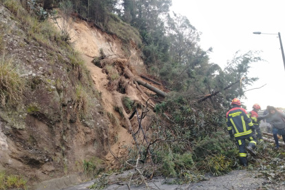 Un árbol cayó a la altura de la avenida De Las Palmeras, en el norte de Quito lo que obstaculiza el paso