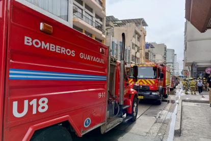 Tan solo en 2024 se registró más de 4000 incendios.