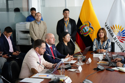 La Comisión de Seguridad es presidida por la oficialista Inés Alarcón.