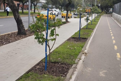 El 28 de febrero vandalizaron 23 árboles del nuevo bulevar de La Shyris.