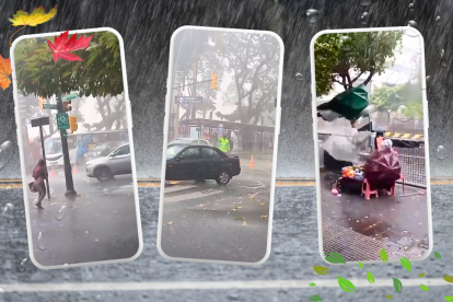 Videos viralizados causaron preocupación a los usuarios.