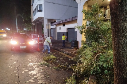 Productos de los fuertes vientos y lluvias, algunos árboles cayeron
