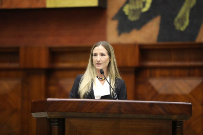 Gabriela Goldbaum habló ante los legisladores, la tarde de este martes 11 de marzo.