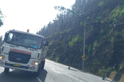 Un árbol que cayó en la avenida y generó una alta carga vehicular.