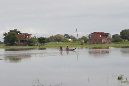 Daule. En el recinto Los Quemados, donde antes había un cultivo de arroz, ahora se ve solo agua. Los agricultores deben salir en canoa de sus casas.