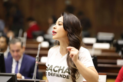 La Asamblea debatió el 13 de marzo sobre el campo Sacha que no se adjudicó.