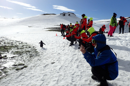 Varios turistas fotografían en la Antártida a un ejemplar de pingüino que escapa de la avalancha de personas.