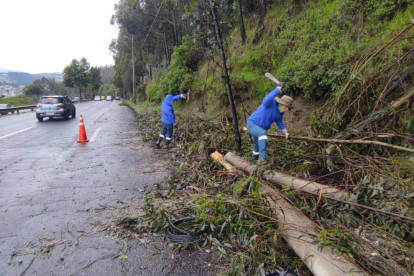 En la avenida Mariscal Sucre y La Gasca hubo un deslizamiento de tierra y se cayeron árboles