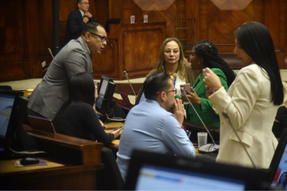 Proceso de fiscalización en la Comisión de Seguridad iniciará el 19 de marzo, presidida por Inés Alarcón