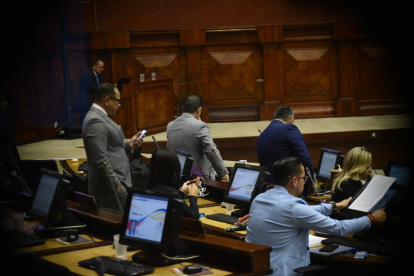 La sesión para definir el futuro de la vocal Johanna Verdezoto se realizó el 18 de marzo.