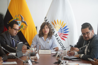 La presidenta de la Comisión de Seguridad, Inés Alarcón.