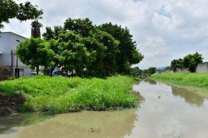 Los guayaquileños solicitan limpiar con urgencia canales de aguas lluvia naturales y zanjas. Los espacios se han convertido en criaderos de mosquitos.