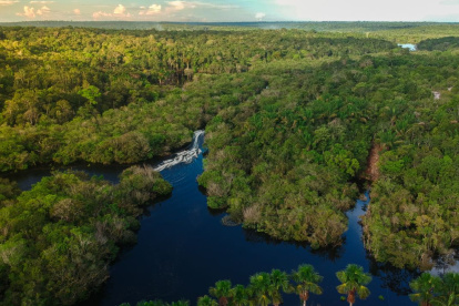 ONG. La Fundación Menté trabaja diversos proyectos medioambientales en la Amazonía ecuatoriana.