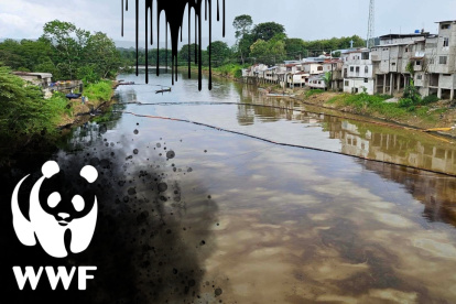 La organización está alerta ante la crisis ambiental en Esmeraldas.