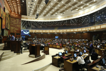 En la sesión 1004, el Pleno de la Asamblea, con 105 votos, archivó el proyecto de Ley Orgánica de Garantías de Derechos en Emergencia Sanitaria y Estados de Excepción.