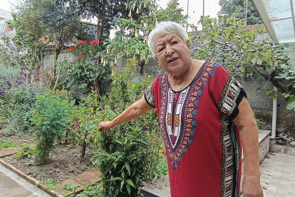 Nydia Vázquez conserva la tradicional huerta en su hogar
