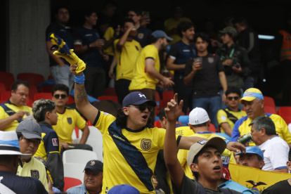 Hinchas de la TRI alientan en Quito.