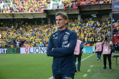 Sebastián Beccacece, entrenador de la Tricolor.