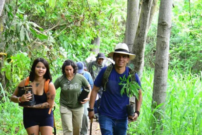 También habrá siembra de especies en la minga que habrá este lunes en cerro El Paraíso por el mes del agua.