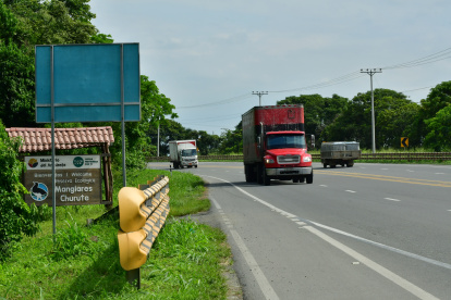 A pesar de que la E25 es una carretera ‘rápida’, no cuenta con señalización preventiva de cruce de especies.