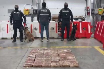 Los canes rastrearon el alcaloide bajo los contenedores.