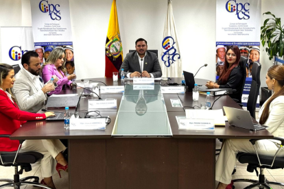 Los integrantes del Consejo de Participación Ciudadana y Control Social, en una sesión anterior.