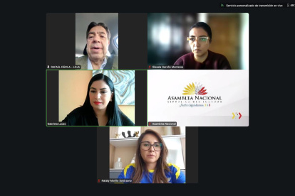 La Comisión Ocasional que tramita la reforma se reunió este 25 de marzo de 2025.