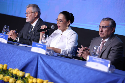 La prohibición fue resuelta por el Pleno del CNE.