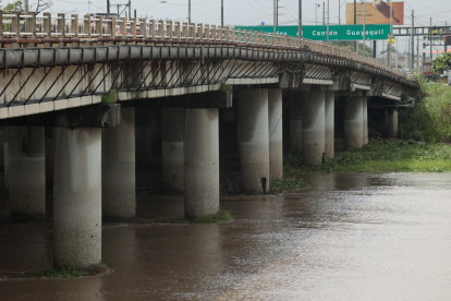 Daños. Los pilotes tienen huecos, al menos diez, esto hace que la estructura se vea debilitada..