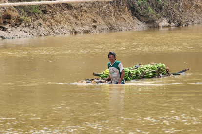 Los agroproductores que han perdido sus cultivos recibirán la compensación económica.