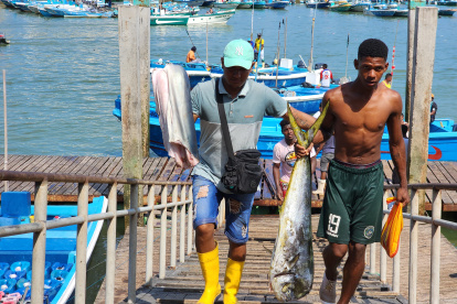 Esmeraldas. Los pescadores artesanales esperan que el desembolso.