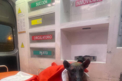 Valiente falleció en camino a ser tratado.