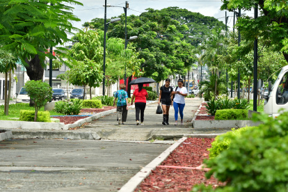 La avenida Enrique Ortega tiene infraestructura que puede aprovecharse.