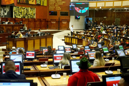 La próxima Asamblea estará controlada por el correísmo y ADN.