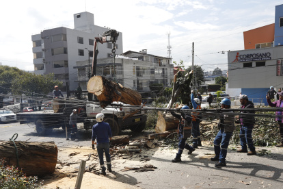 Continúan los trabajos de limpieza de árbol caído en el barrio Granada Centeno en el norte de Quito.