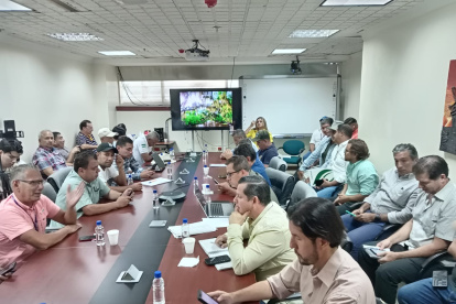 Un grupo de productores de maíz reunidos con el ministro de Agricultura, Danilo Palacios.
