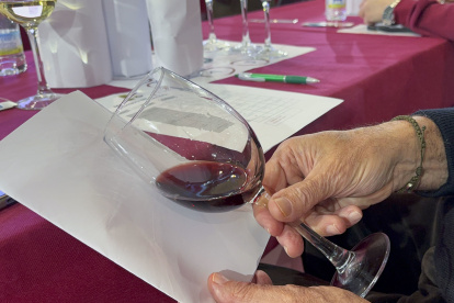 El Salón del Vino y la Aceituna de Extremadura se ha celebrado esta semana en Almendralejo (Badajoz) con numerosos stand empresariales, misiones comerciales nacionales e internacionales, concursos, catas y otras actividades. EFE/Ana Picón