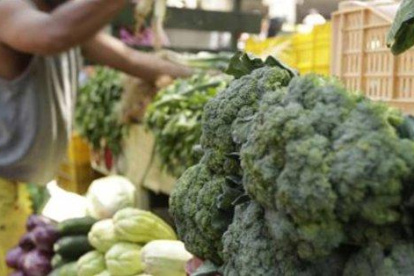 Productos como el brócoli, que pagando un 14,9%, ahora pasará a pagar un 24,9 %, dice Fedexpor.