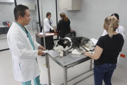 El director de Pro Animal atendió a EXPRESO y explicó las necesidades en la dirección del Municipio