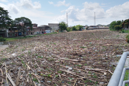 Palizada en río bloqueó el puente.
