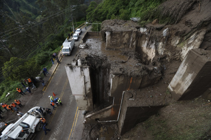 Debido al deslizamiento, un árbol cayó sobre una vivienda.