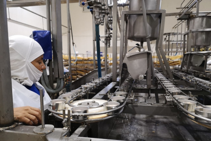 El sector de la manufactura atrajo más inversión extranjera directa en el 2024, en Ecuador.