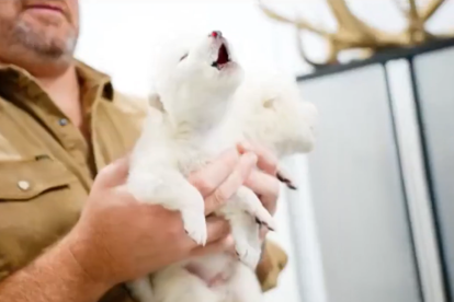 El lobo terrible ha vuelto en un sorprendente logro científico.