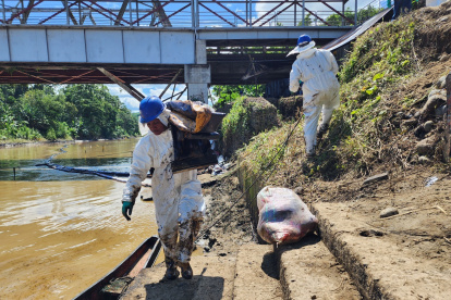 Los trabajos que se hacen para limpiar la área afectada por el derrame de petróleo en Esmeraldas.